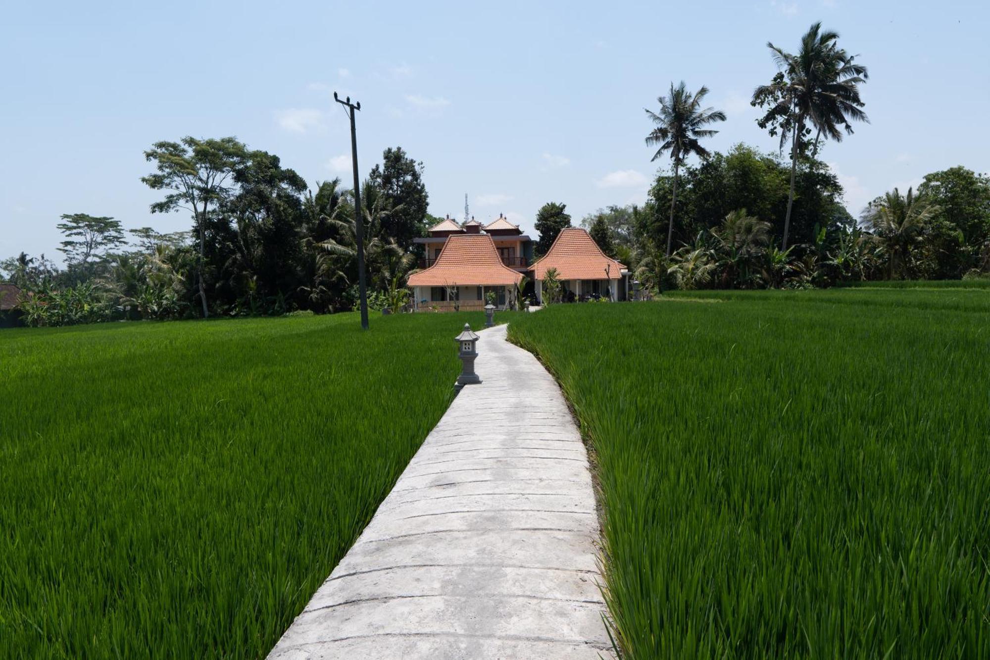 Uma Sri Dewi Villa Ubud Екстер'єр фото